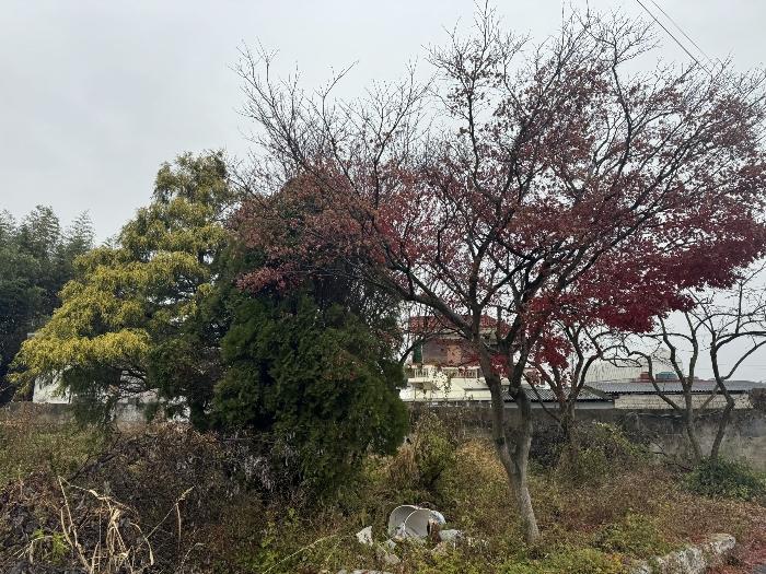 광주광역시 남구 대지동 608-1 대지 경매 사진 9