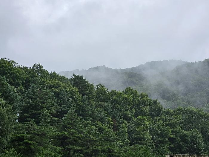 경기도 남양주시 조안면 삼봉리 산9-12 임야 경매 사진 2