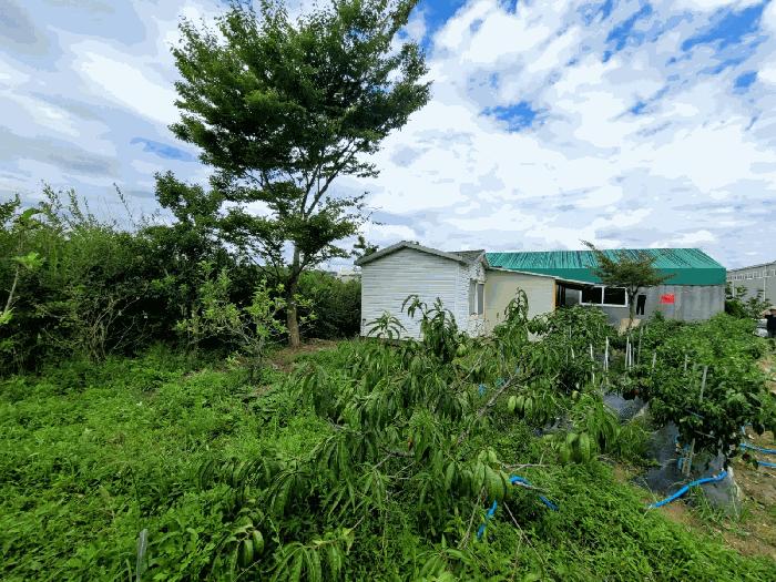 울산광역시 울주군 서생면 명산리 186-5 답 경매 사진 1