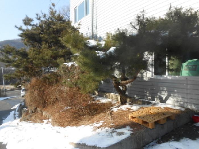 충청북도 진천군 진천읍 사석리 452-1 공장 경매 사진 32