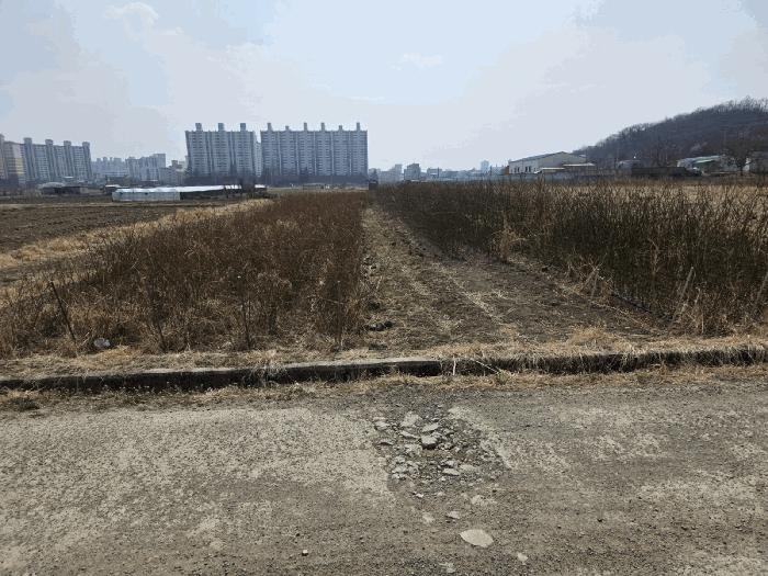 경상북도 경산시 답