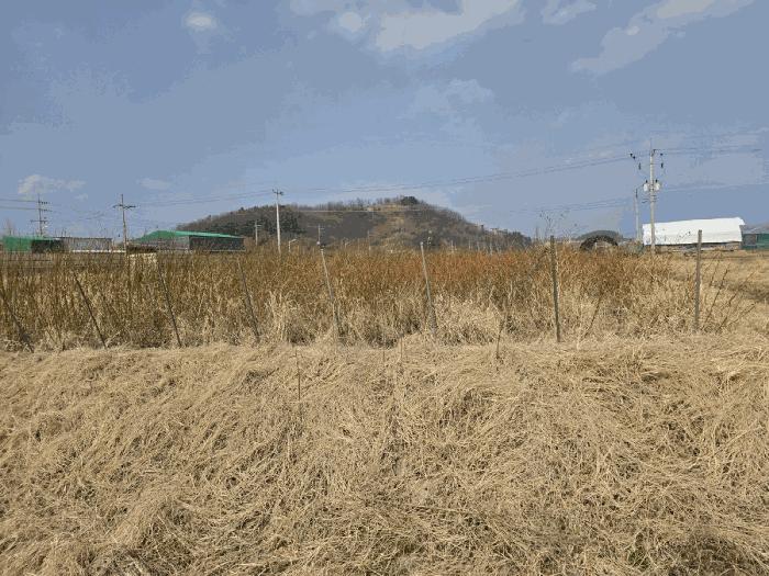 경상북도 경산시 하양읍 동서리 1000 답 경매 사진 2