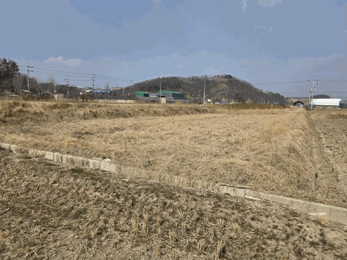 경상북도 경산시 하양읍 동서리 1000 답 경매 사진 5