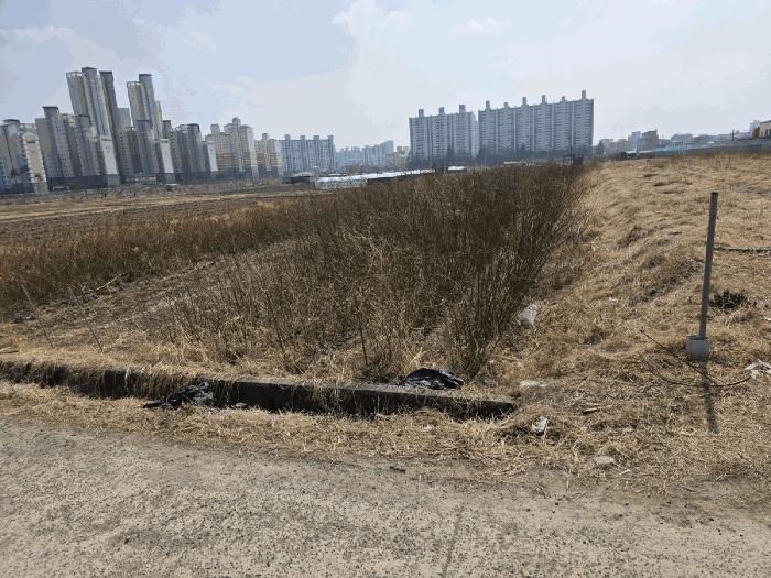 경상북도 경산시 하양읍 동서리 1000 답 경매 사진 8