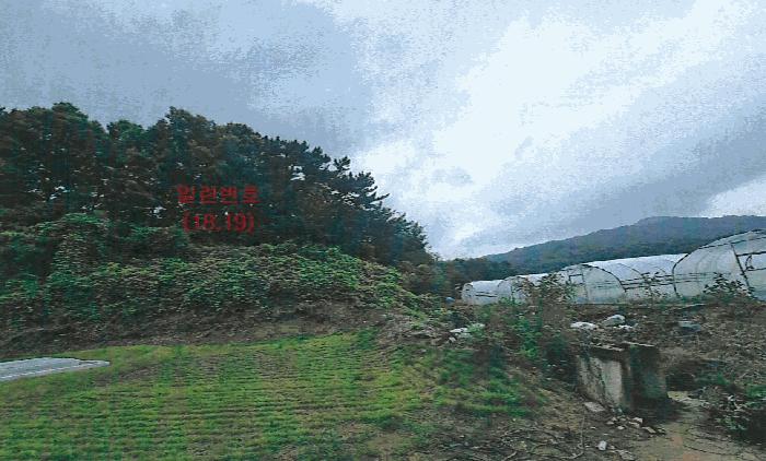 경상북도 성주군 월항면 유월리 산102 임야 경매 사진 4