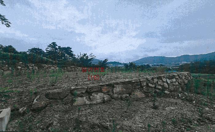 경상북도 성주군 월항면 유월리 산102 임야 경매 사진 7