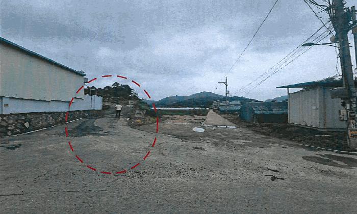 경상북도 성주군 월항면 유월리 산102 임야 경매 사진 8