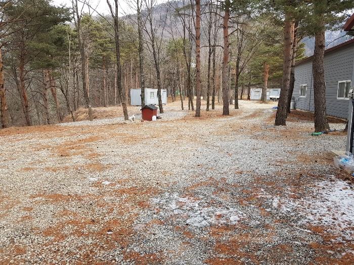 강원도 강릉시 왕산면 대기리 1650 대지 경매 사진 18