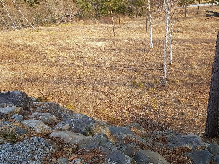 강원도 강릉시 왕산면 대기리 1650 대지 경매 사진 22