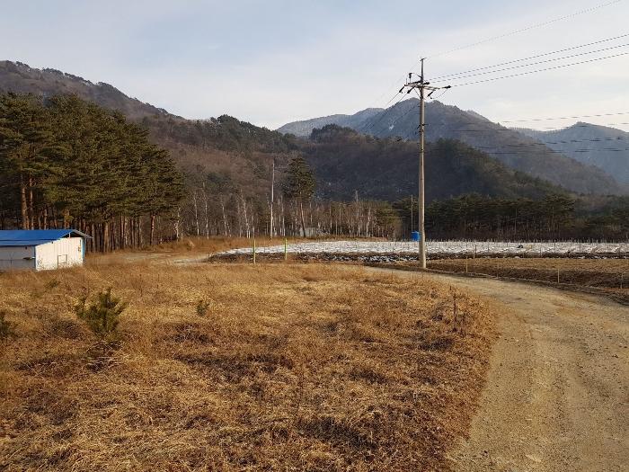 강원도 강릉시 왕산면 대기리 1650 대지 경매 사진 24