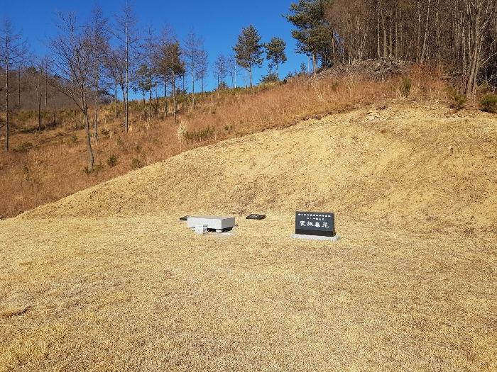 강원도 강릉시 왕산면 대기리 1650 대지 경매 사진 28