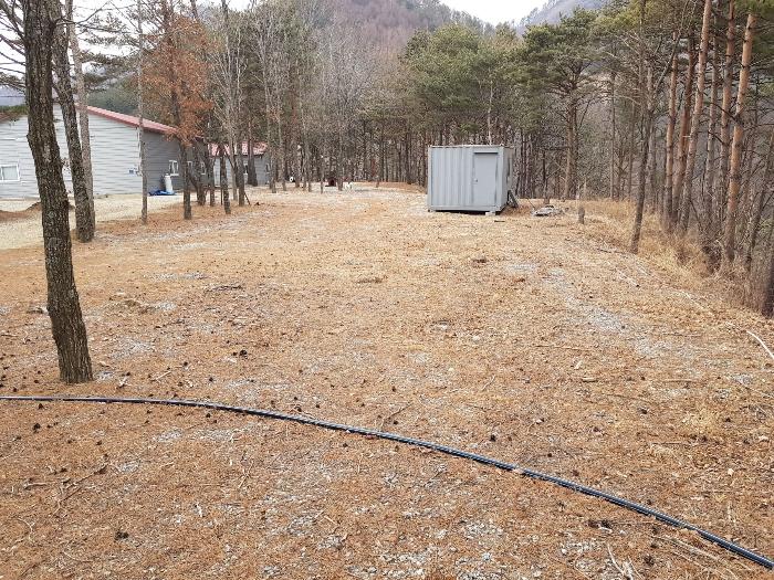 강원도 강릉시 왕산면 대기리 1650 대지 경매 사진 3