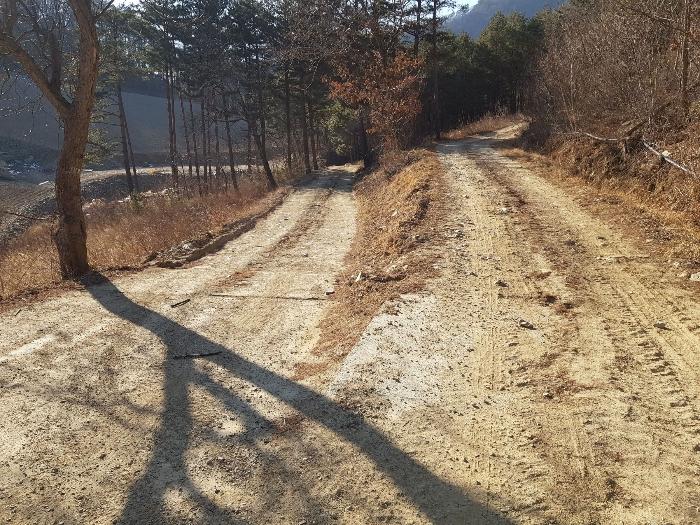 강원도 강릉시 왕산면 대기리 1650 대지 경매 사진 31