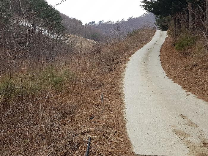 강원도 강릉시 왕산면 대기리 1650 대지 경매 사진 34