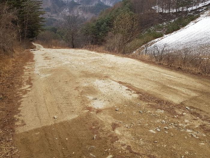 강원도 강릉시 왕산면 대기리 1650 대지 경매 사진 36