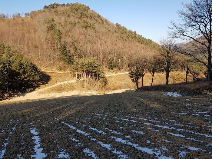 강원도 강릉시 왕산면 대기리 1650 대지 경매 사진 37