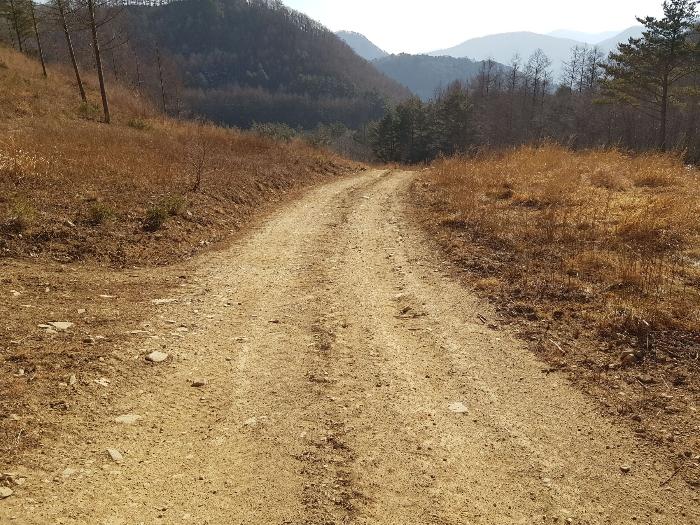 강원도 강릉시 왕산면 대기리 1650 대지 경매 사진 45