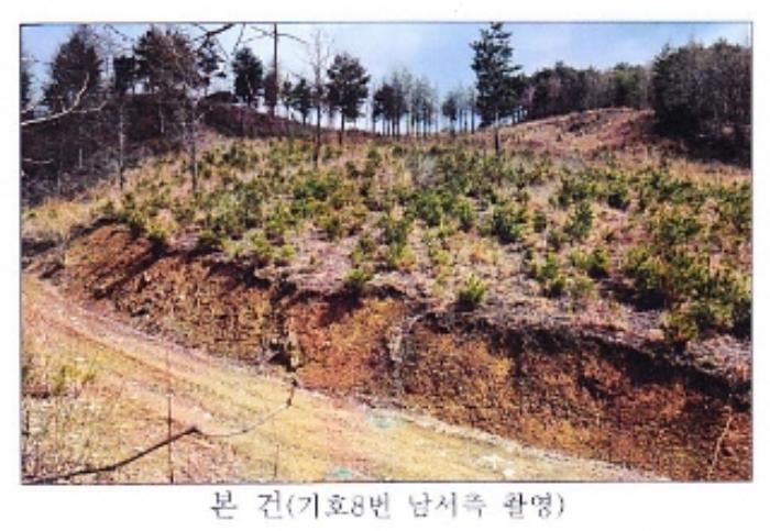 강원도 강릉시 왕산면 대기리 1650 대지 경매 사진 53