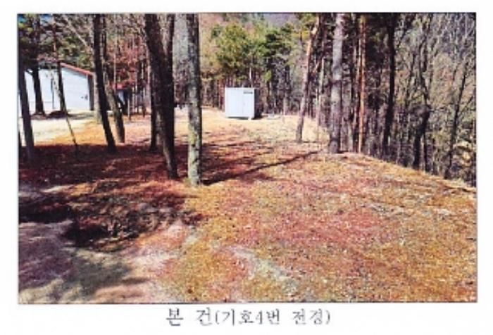 강원도 강릉시 왕산면 대기리 1650 대지 경매 사진 56
