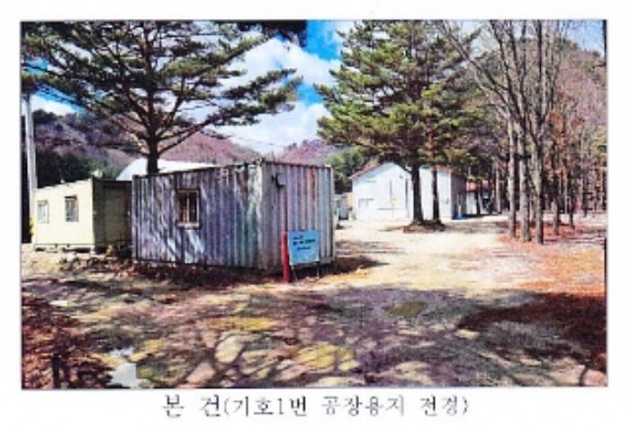 강원도 강릉시 왕산면 대기리 1650 대지 경매 사진 58