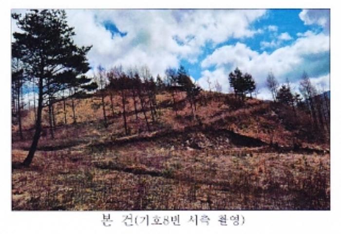 강원도 강릉시 왕산면 대기리 1650 대지 경매 사진 64