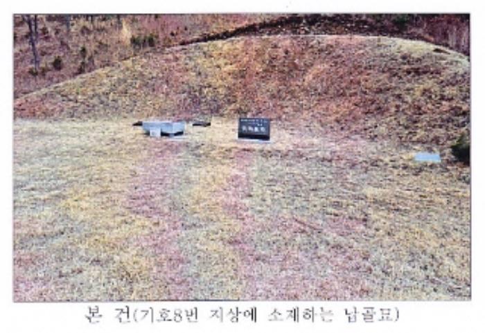 강원도 강릉시 왕산면 대기리 1650 대지 경매 사진 65