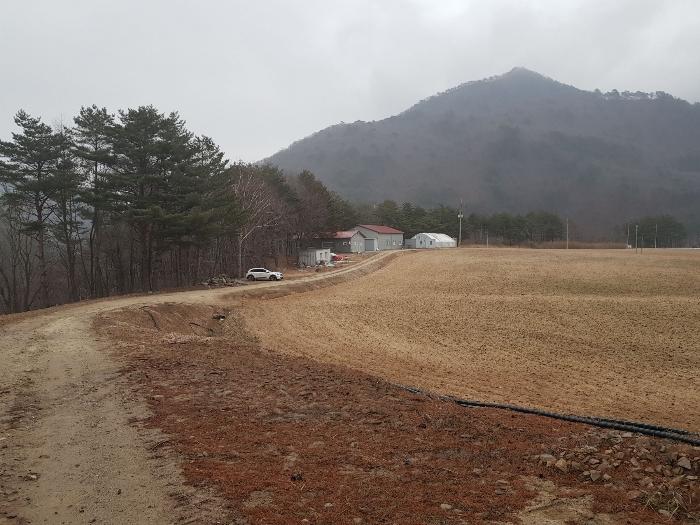 강원도 강릉시 왕산면 대기리 1650 대지 경매 사진 7