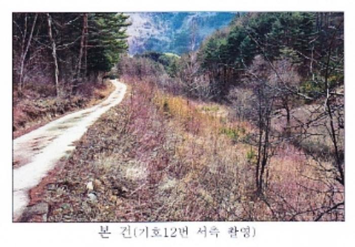 강원도 강릉시 왕산면 대기리 1650 대지 경매 사진 77