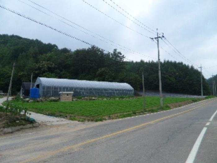 강원특별자치도 강릉시 왕산면 고단리 725-3 창고 경매 사진 21