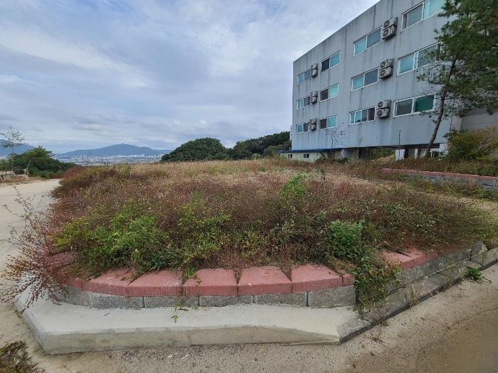 충청북도 충주시 대소원면 검단리 산16-1 임야 경매 사진 2
