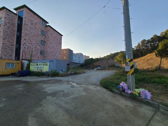 충청북도 충주시 대소원면 검단리 산16-1 임야 경매 사진 9