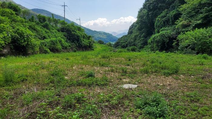 경상남도 고성군 동해면 장좌리 1451-2 답 경매 사진 1