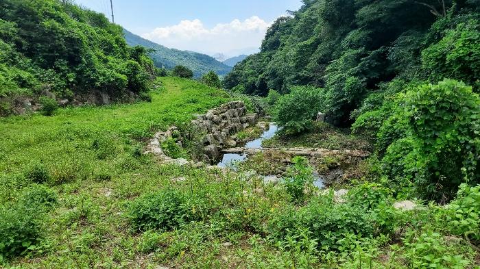 경상남도 고성군 동해면 장좌리 1451-2 답 경매 사진 4