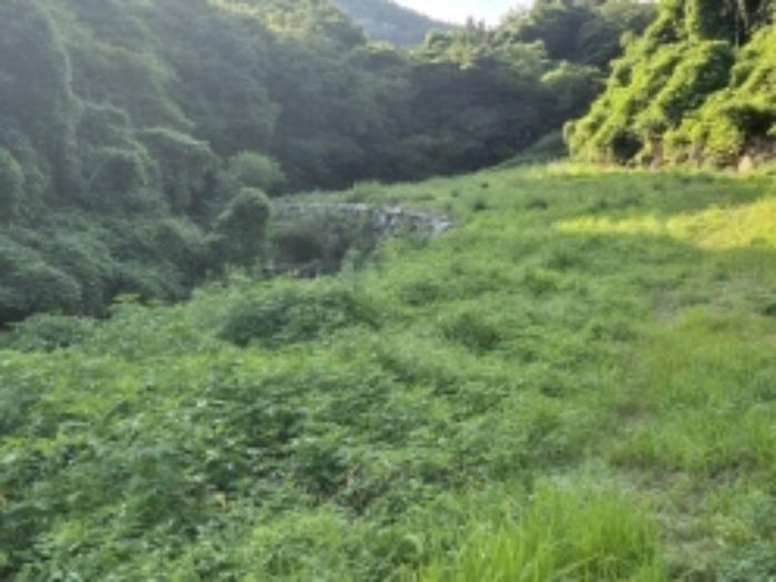 경상남도 고성군 동해면 장좌리 1451-2 답 경매 사진 5