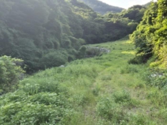 경상남도 고성군 동해면 장좌리 1451-2 답 경매 사진 6