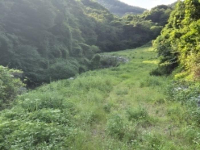 경상남도 고성군 동해면 장좌리 1451-2 답 경매 사진 7