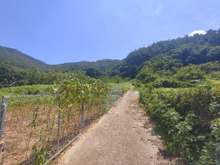 경상남도 통영시 광도면 용호리 244 전 경매 사진 3