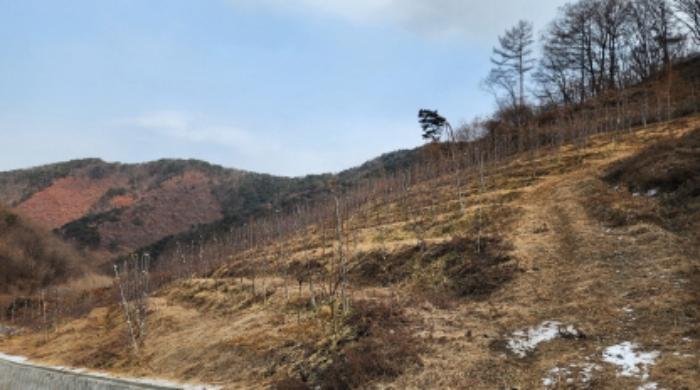 충청북도 제천시 전