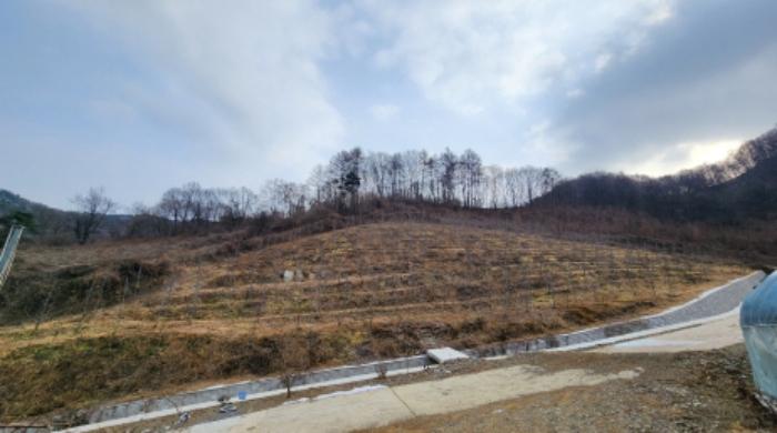 충청북도 제천시 청풍면 연론리 462 전 경매 사진 4