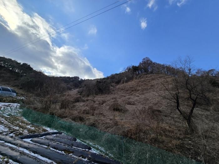대전 제천시 전