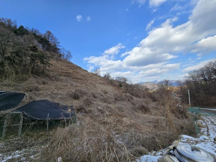 충청북도 제천시 수산면 대전리 746 전 경매 사진 2