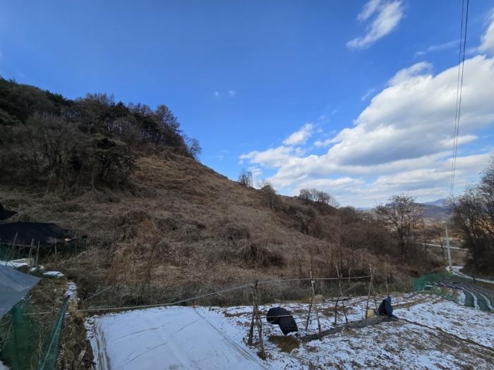 충청북도 제천시 수산면 대전리 746 전 경매 사진 3