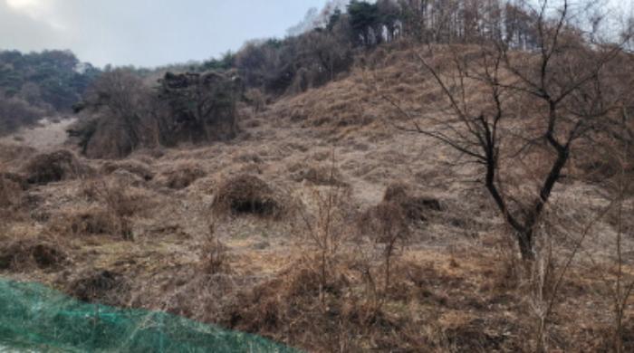 충청북도 제천시 수산면 대전리 746 전 경매 사진 5