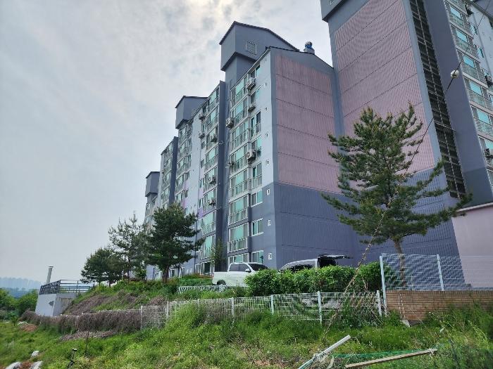 충청남도 천안시 서북구 천일고2길 113-16, 102동 2층202호 (신당동,에스씨그린아파트)구) 충청남도 천안시 서북구 신당동 468-7 아파트 경매 사진 4