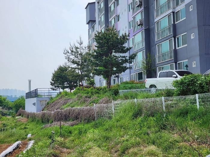 충청남도 천안시 서북구 천일고2길 113-16, 102동 2층202호 (신당동,에스씨그린아파트)구) 충청남도 천안시 서북구 신당동 468-7 아파트 경매 사진 9