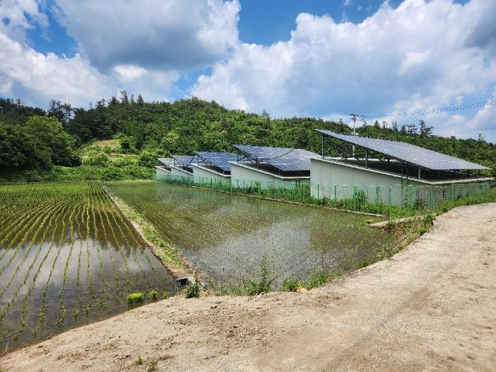 전라남도 장흥군 답