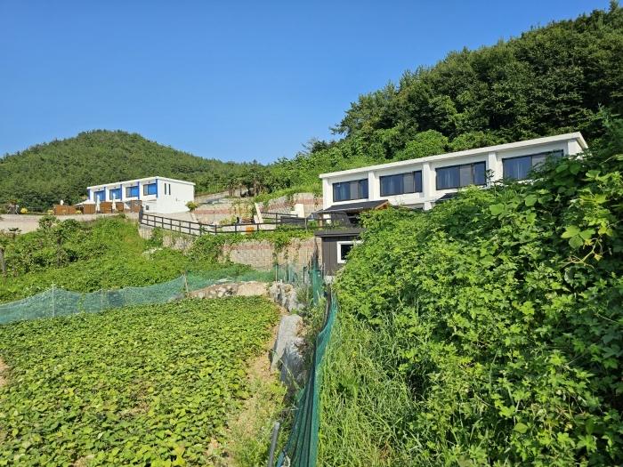 전라남도 여수시 소라면 궁항길 115-4 숙박시설 경매 사진 15