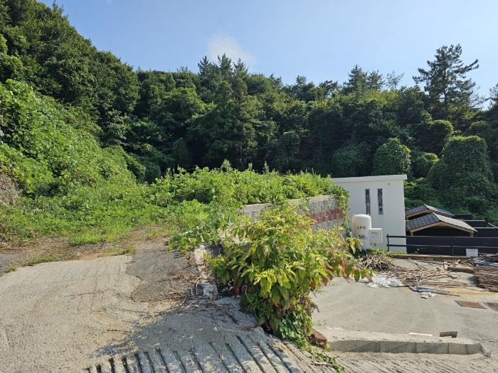 전라남도 여수시 소라면 궁항길 115-4 숙박시설 경매 사진 8