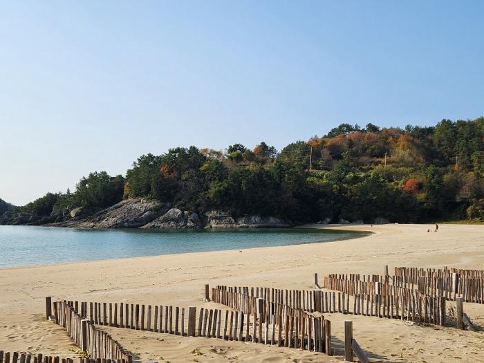 전라남도 고흥군 영남면 남열리 1230 전 경매 사진 1