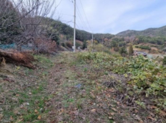 전라남도 고흥군 영남면 남열리 1230 전 경매 사진 11